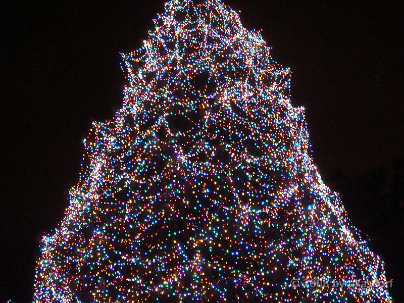 072 Toledo Zoo Light Show [2008 Dec 27].JPG - Scenes from the Toledo Zoo Light Show.